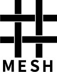 메쉬(MESH)